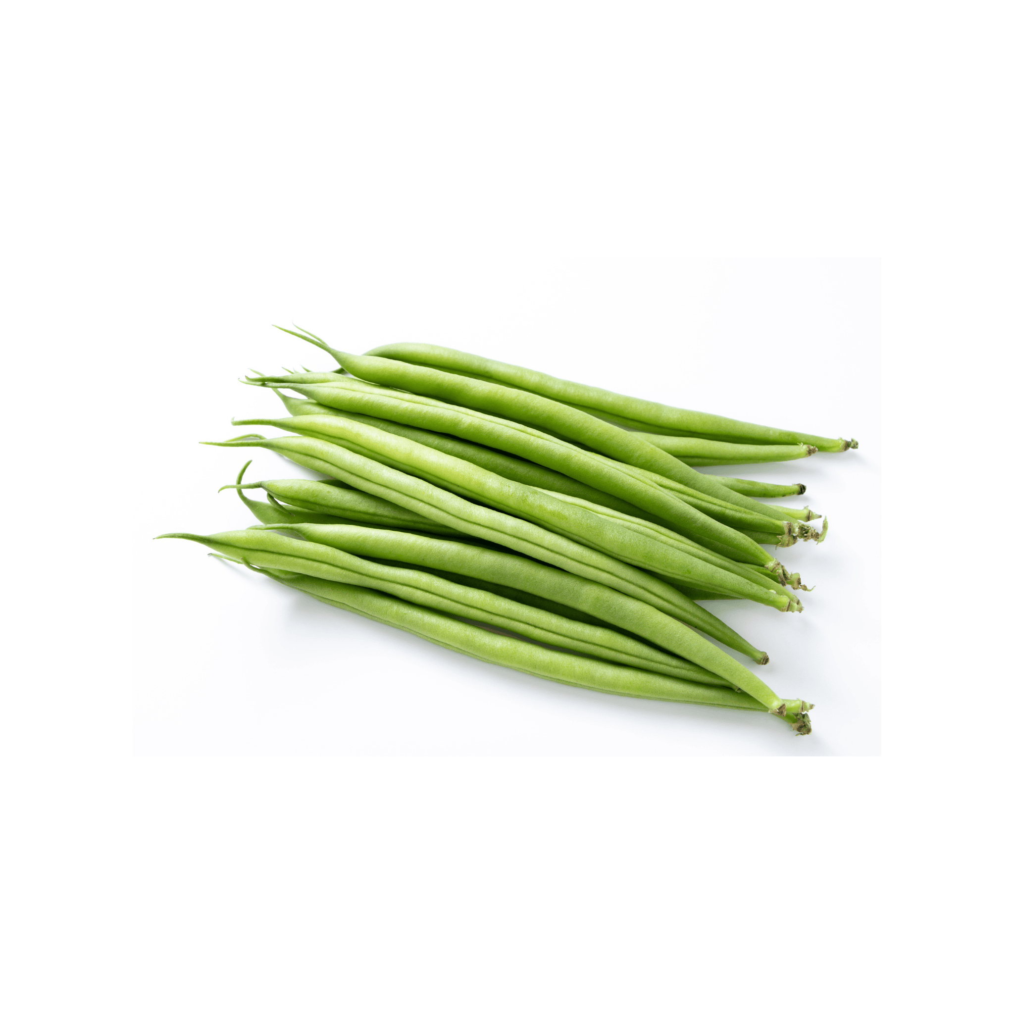 Rapdily Grow Green Beans (لوبیا) 150+ Seeds