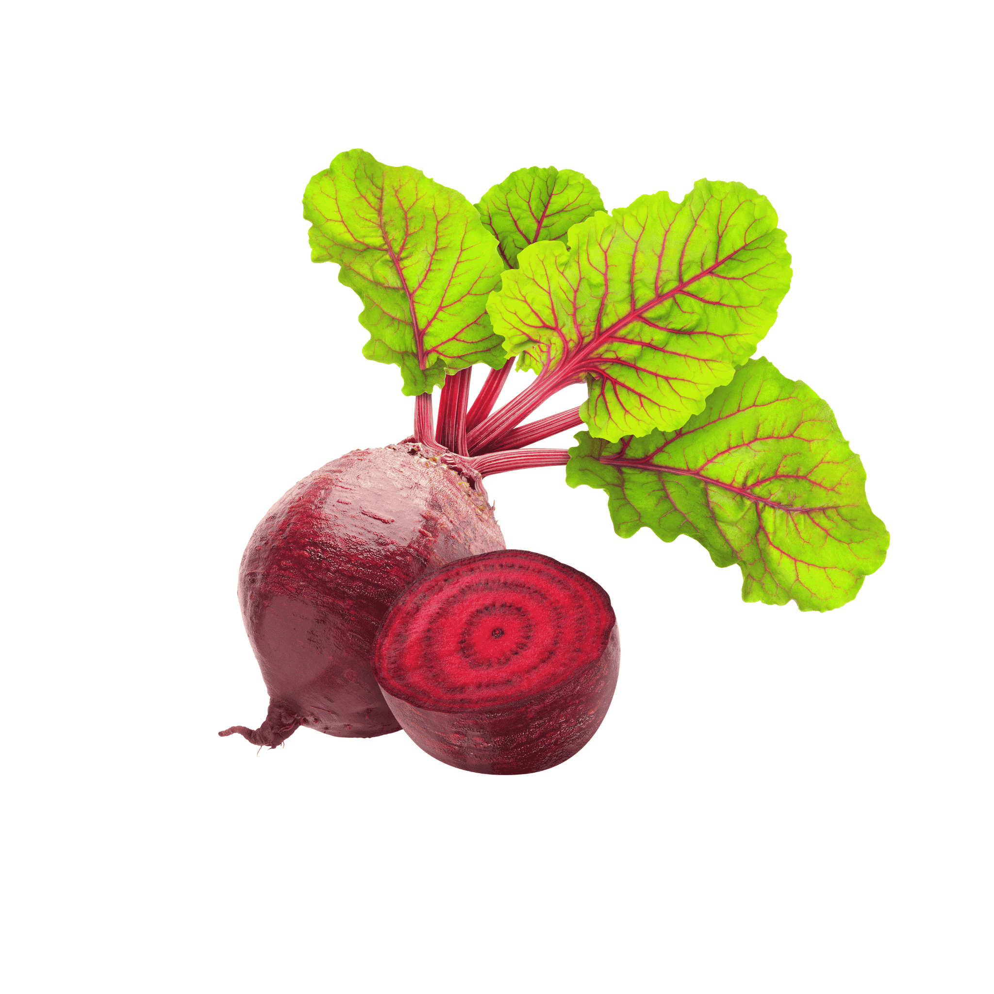 Red Dotted Beetroot (چقندر ) 50+ Seeds
