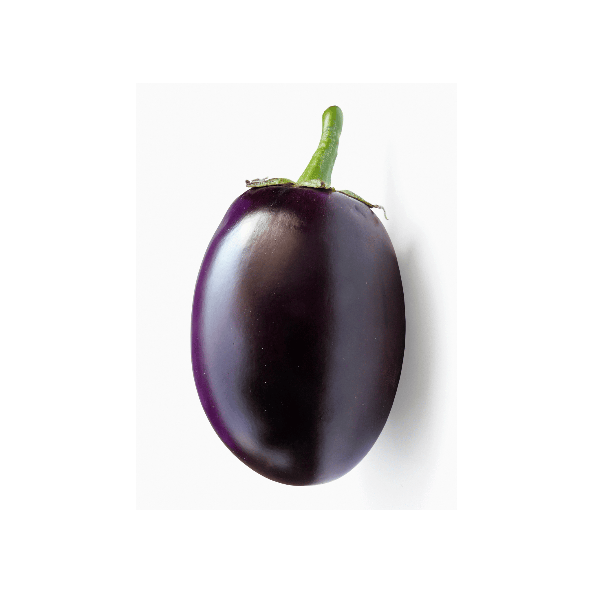 Black Combo Brinjal (بینگن) 250+ Seeds