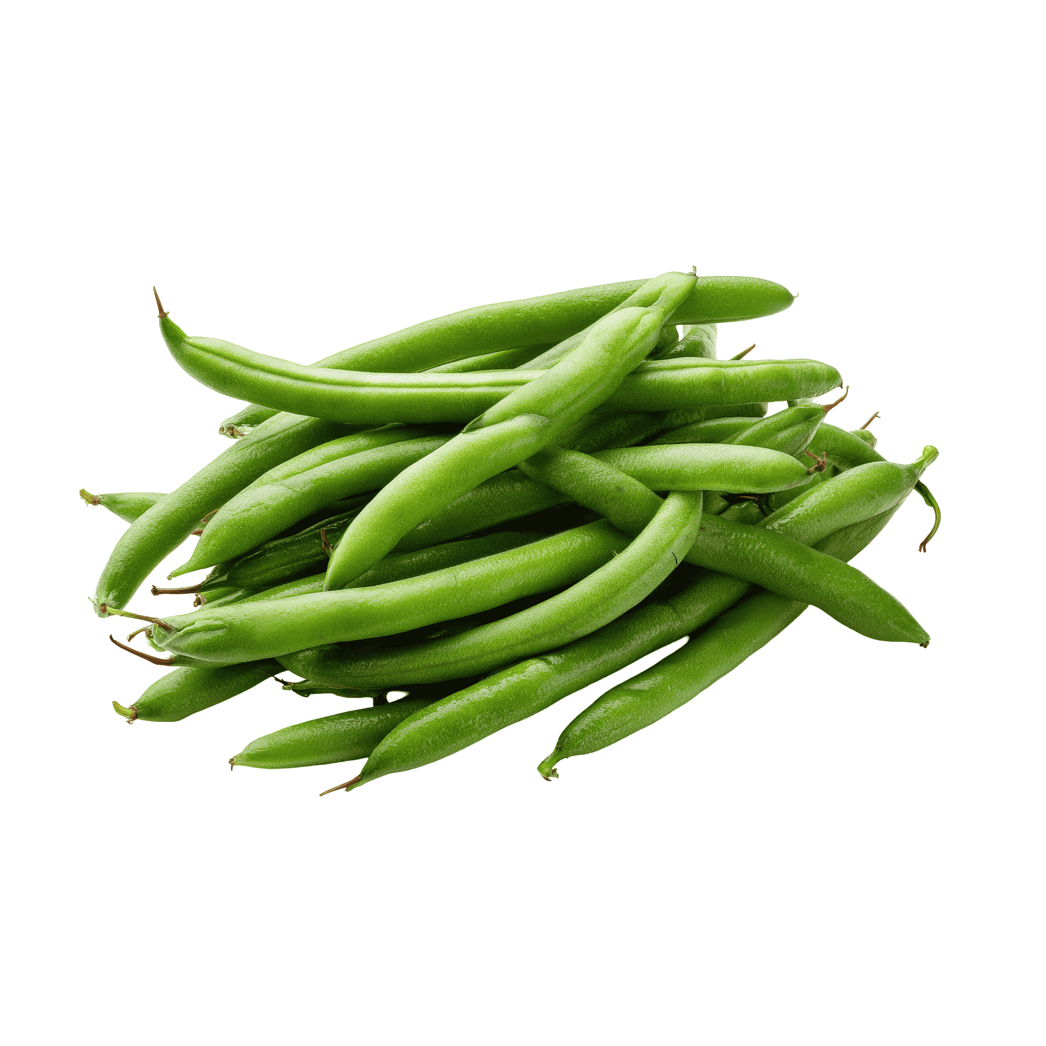 Cluster Beans (گَوارا) 250+ Seeds