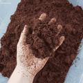 Premium Cocopeat 1KG – Organic Growing Medium for Seed Starting & Pots