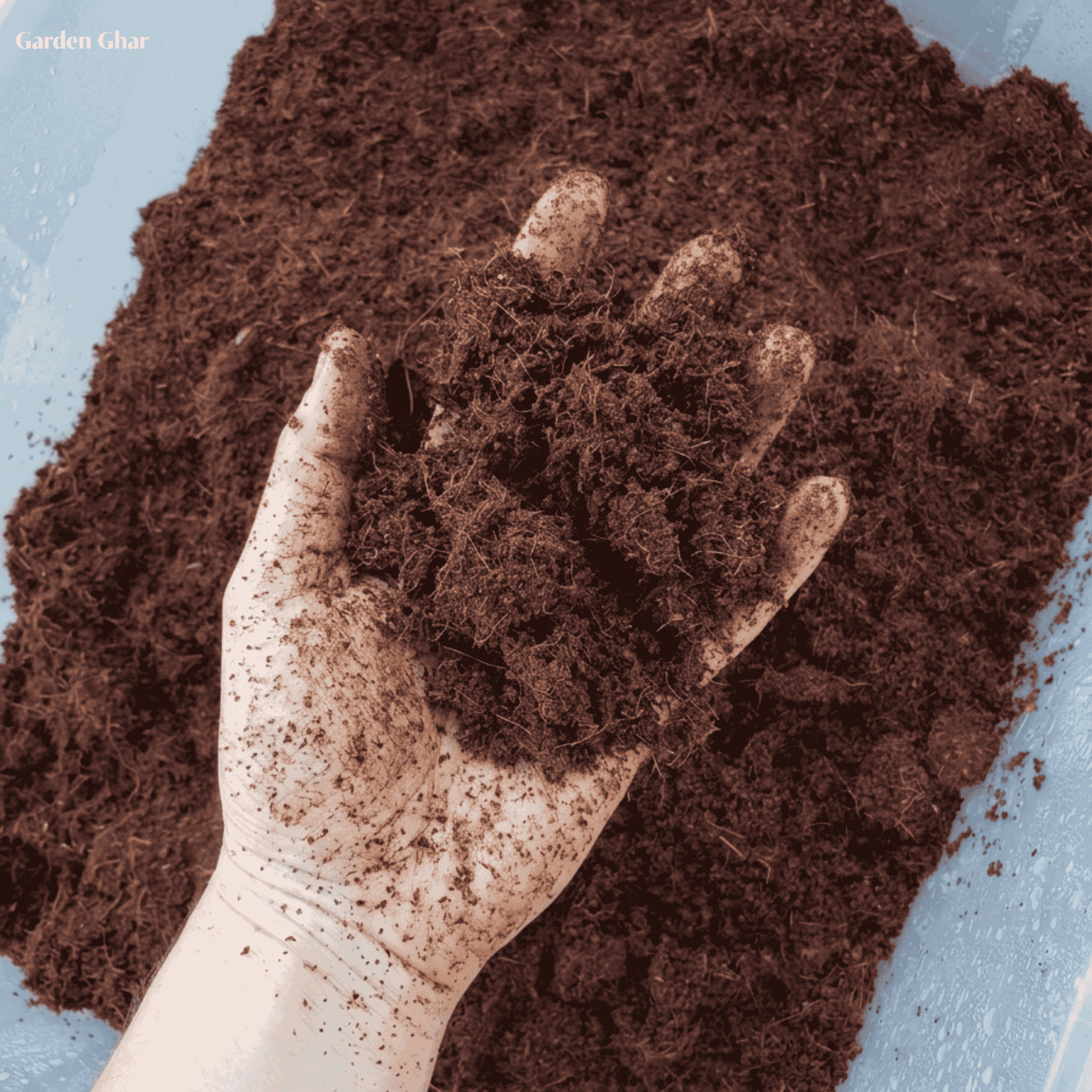 Premium Cocopeat 1KG – Organic Growing Medium for Seed Starting & Pots
