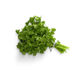 Heavy Green Coriander (دھنیا) 400+ Seeds