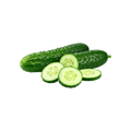 Over Fruiting Cucumber (کھیرا) 50+ Seeds