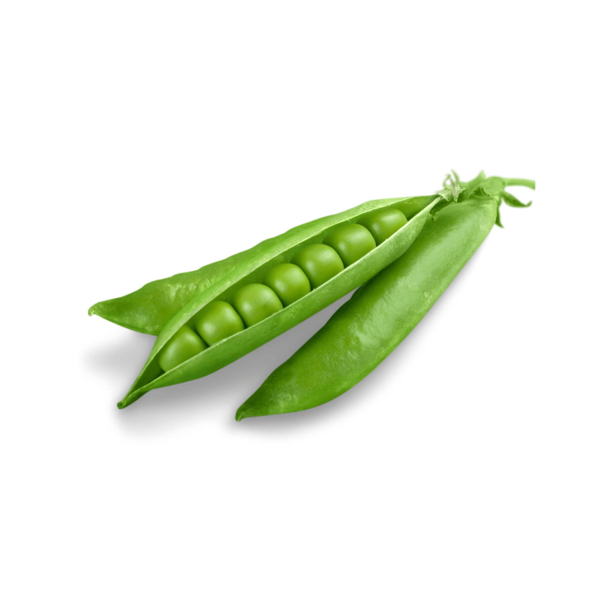All Time Best Green Peas (مٹر) 30+ Seeds