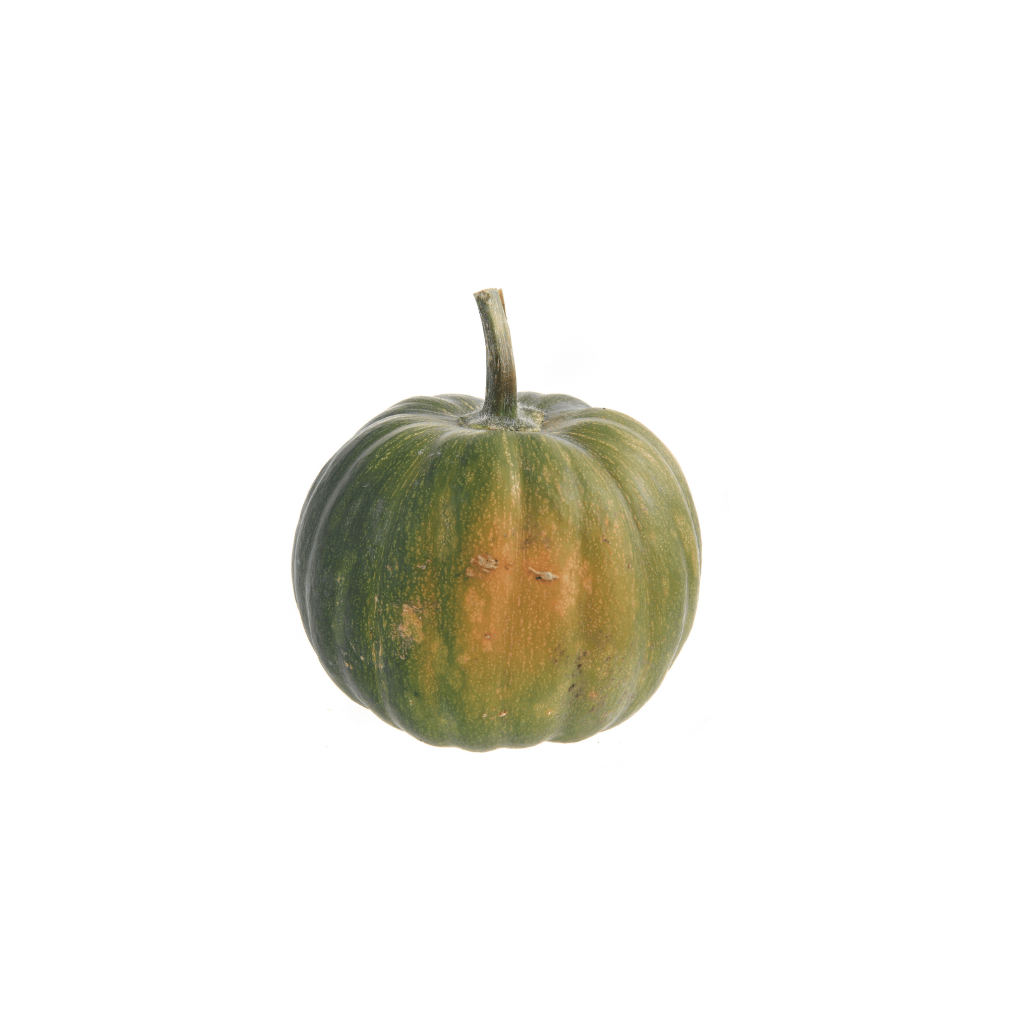 Adavnced Pumpkin (حلوہ کدو) 20+ Seeds