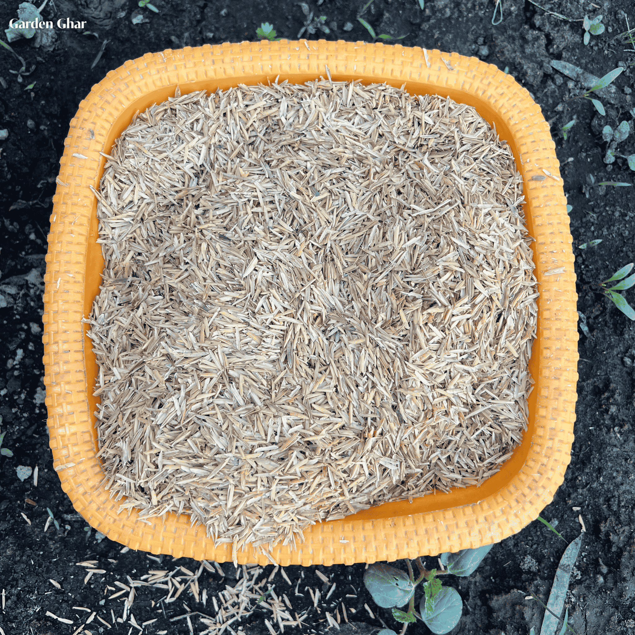 Premium Rice Husks (چاول-کا-چھلکا) – Organic Soil Conditioner for Gardening