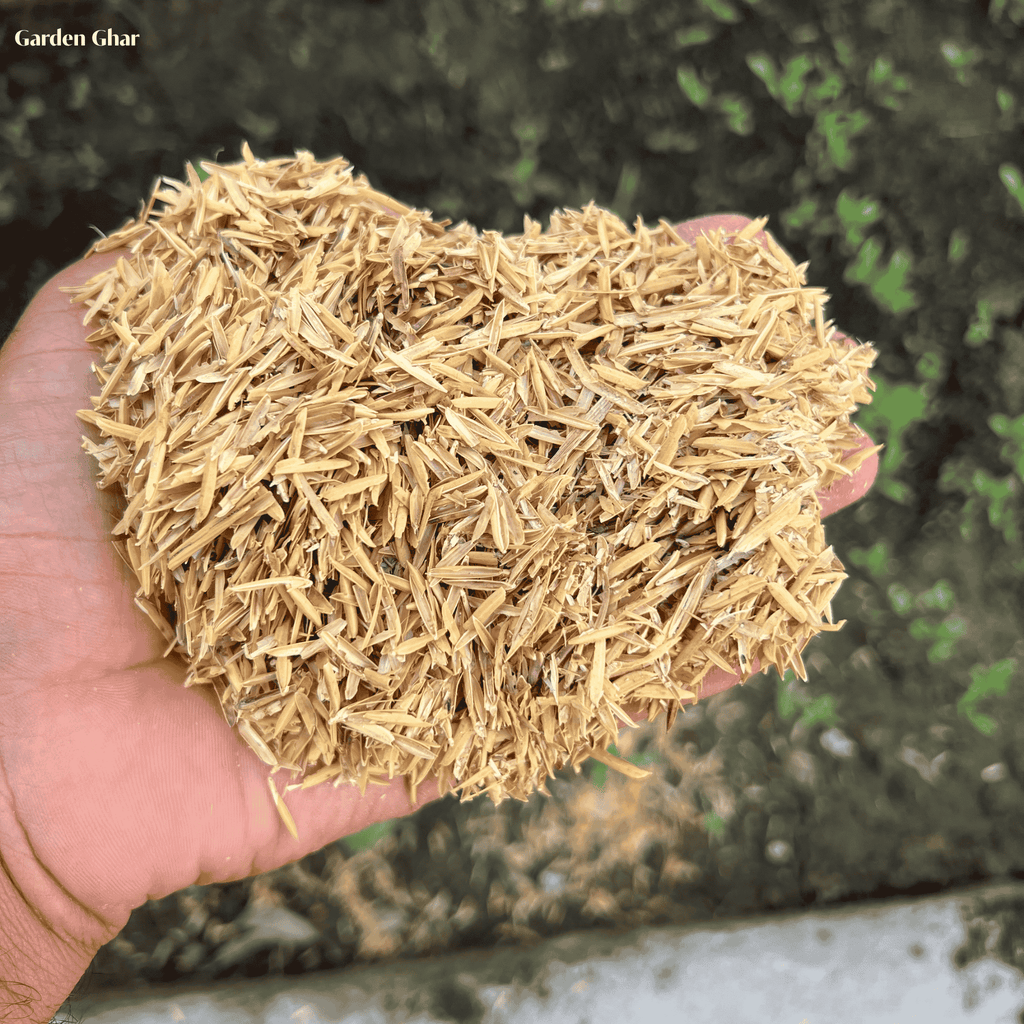 Premium Rice Husks (چاول-کا-چھلکا) – Organic Soil Conditioner for Gardening