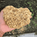Premium Rice Husks (چاول-کا-چھلکا) – Organic Soil Conditioner for Gardening