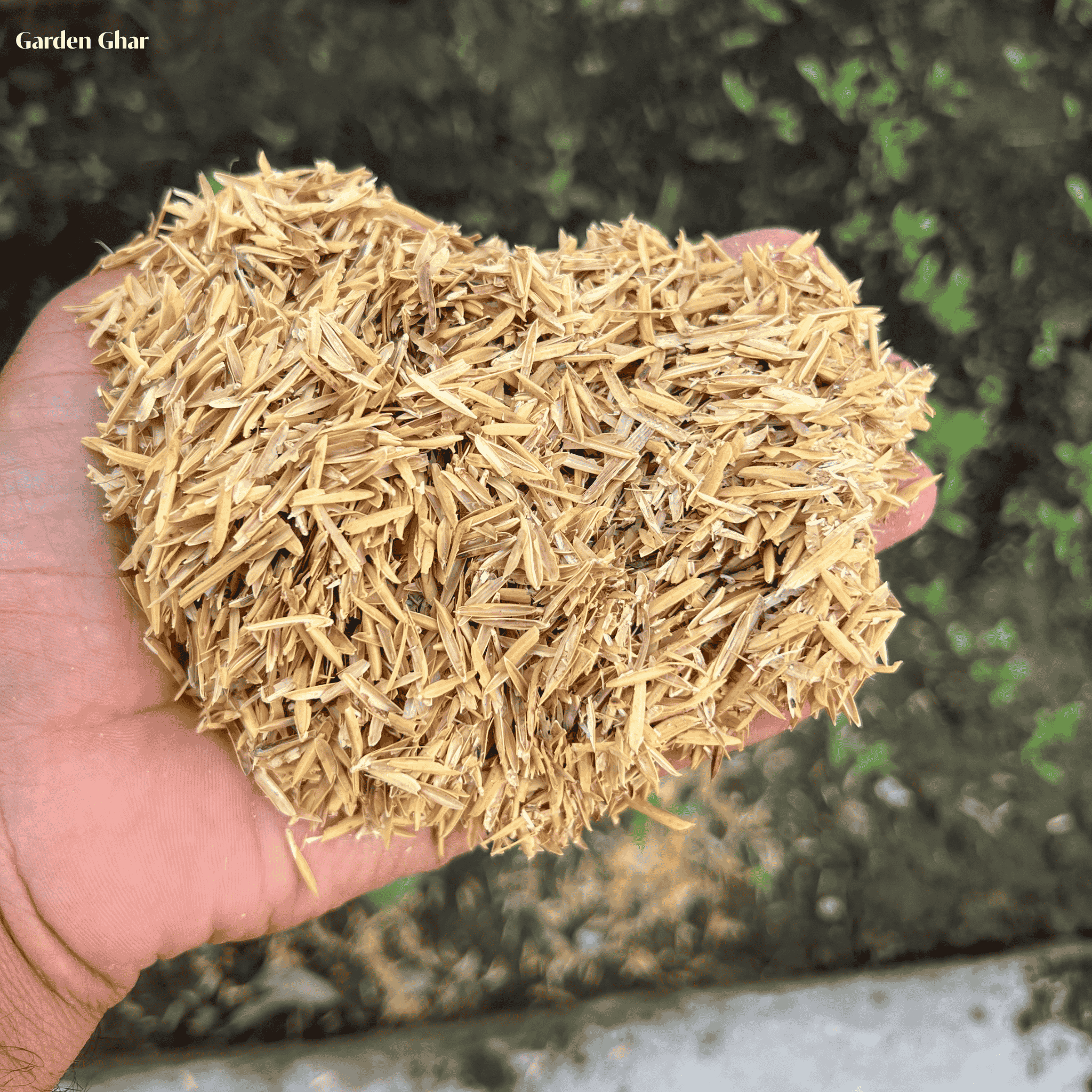 Premium Rice Husks (چاول-کا-چھلکا) – Organic Soil Conditioner for Gardening