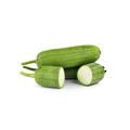 Stand Up Sponge Gourd (گھیا توری) 30+ Seeds