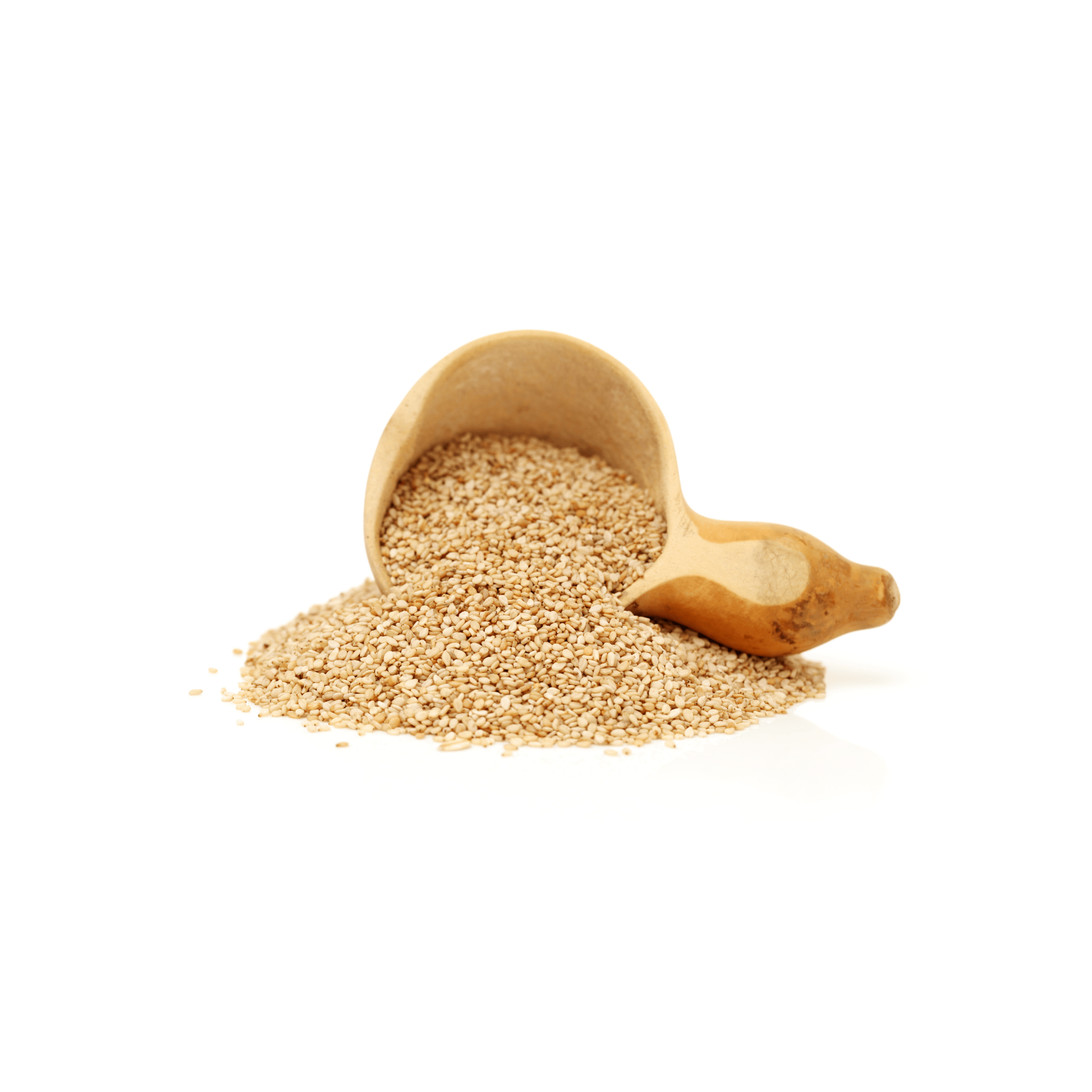 Sesame Seeds-Till (تل) 300+ Seeds