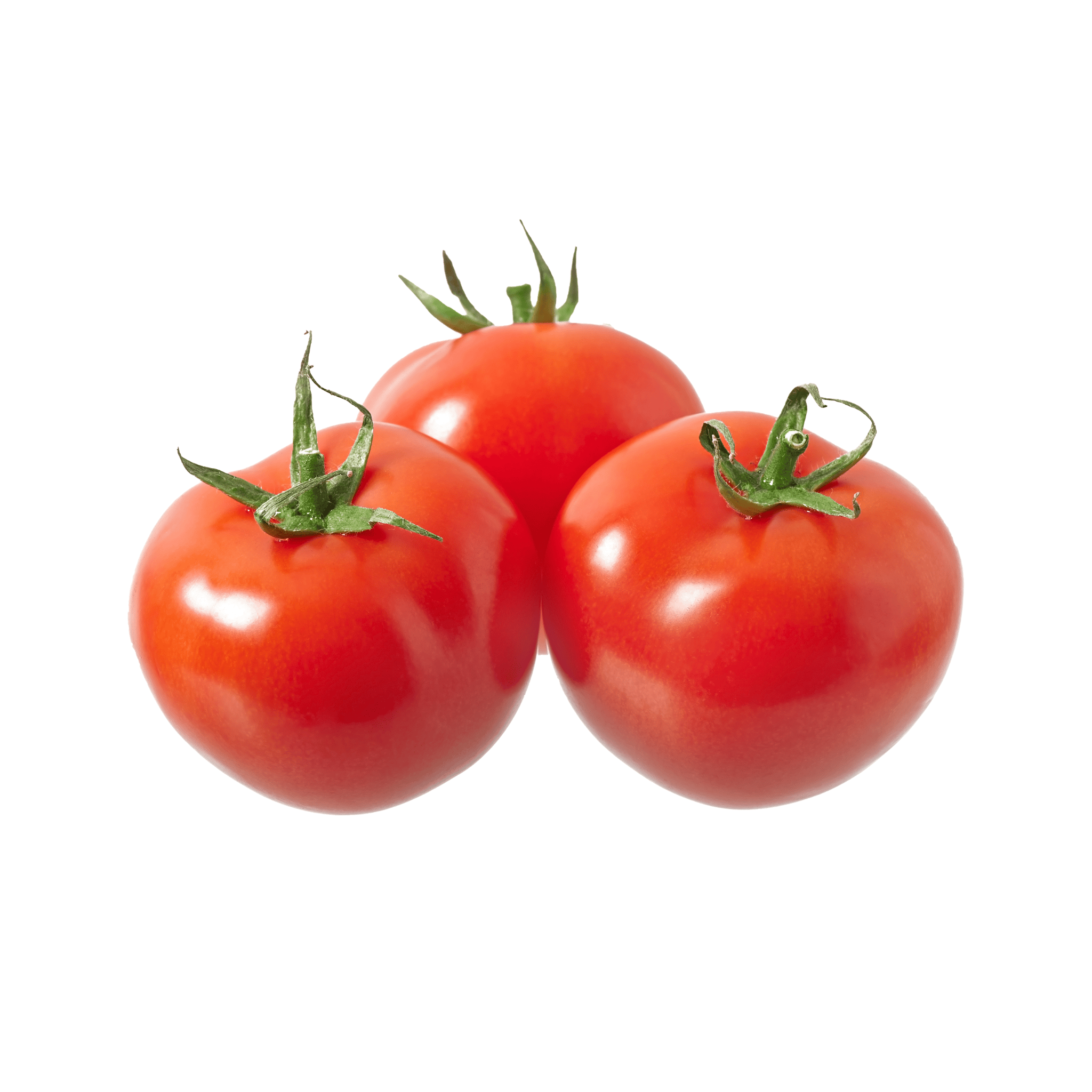 High Yield Tomato Seeds (ٹماٹر) 100+ Seeds