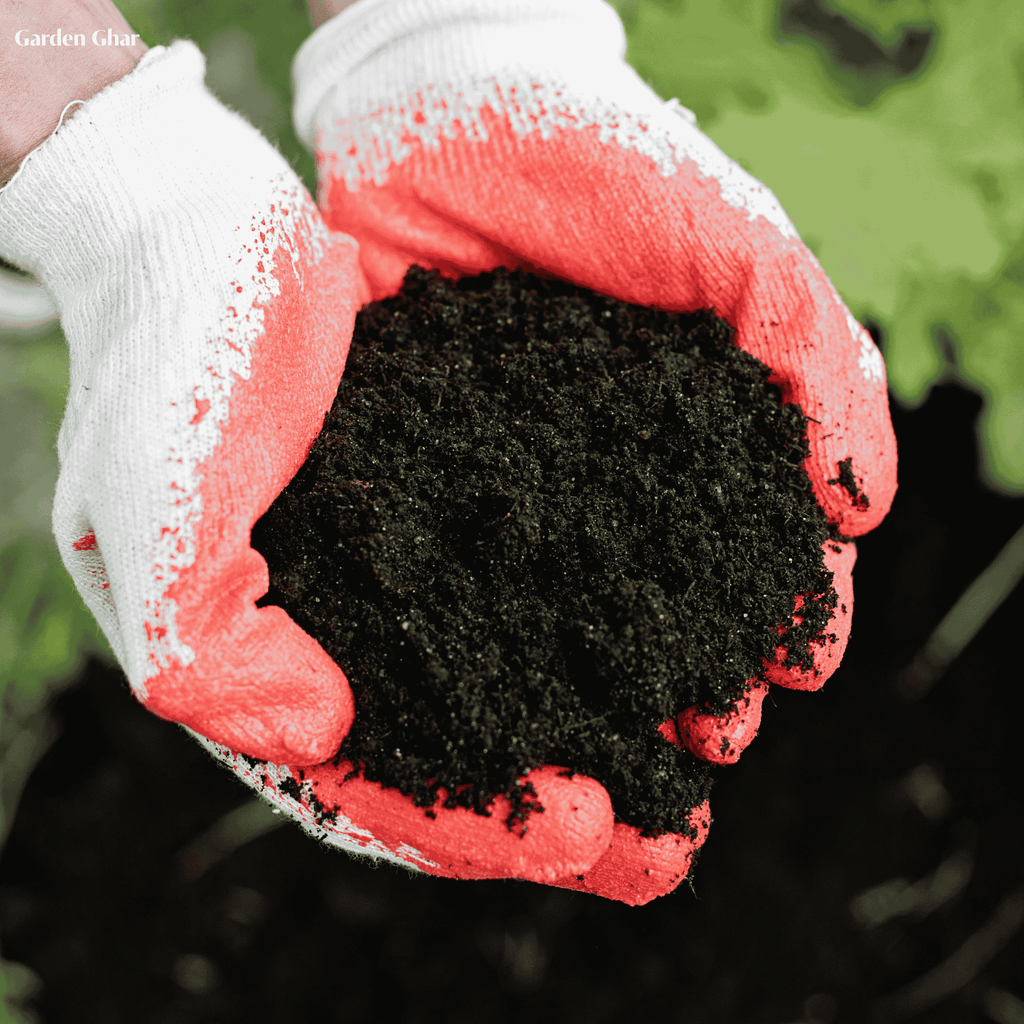 Premium Organic Vermicompost 1-KG Natural Fertilizer