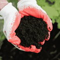 Premium Organic Vermicompost 1-KG Natural Fertilizer