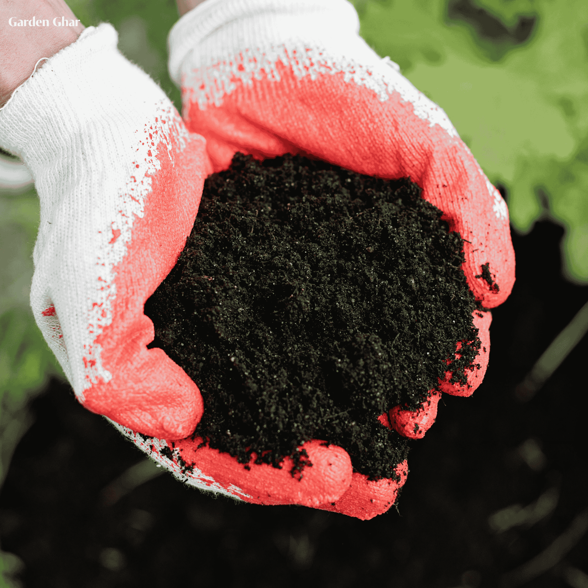 Premium Organic Vermicompost 1-KG Natural Fertilizer