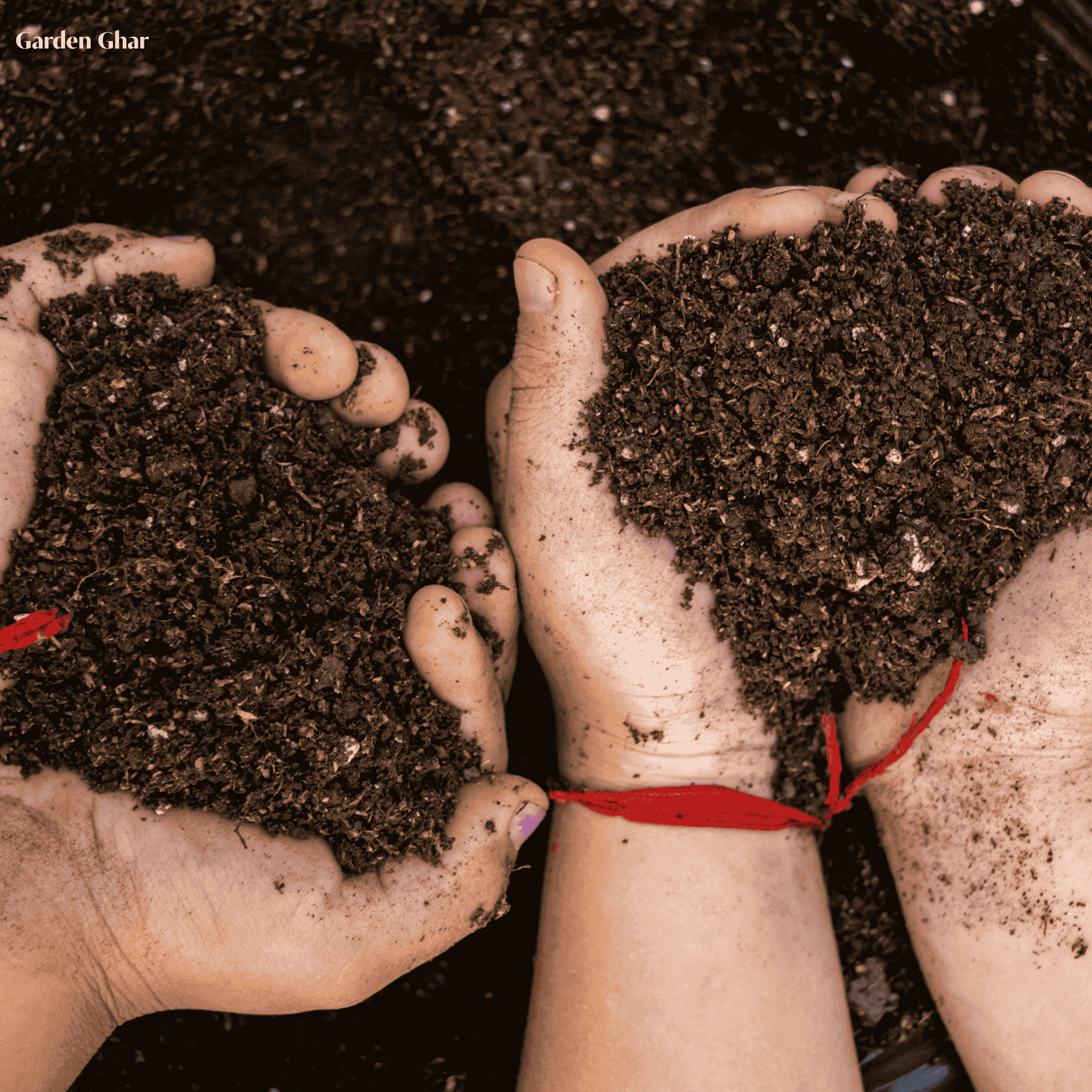 Premium Organic Vermicompost 1-KG Natural Fertilizer