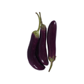 Long Crescent Eggplant (لمبا بینگن) 225+ Seeds