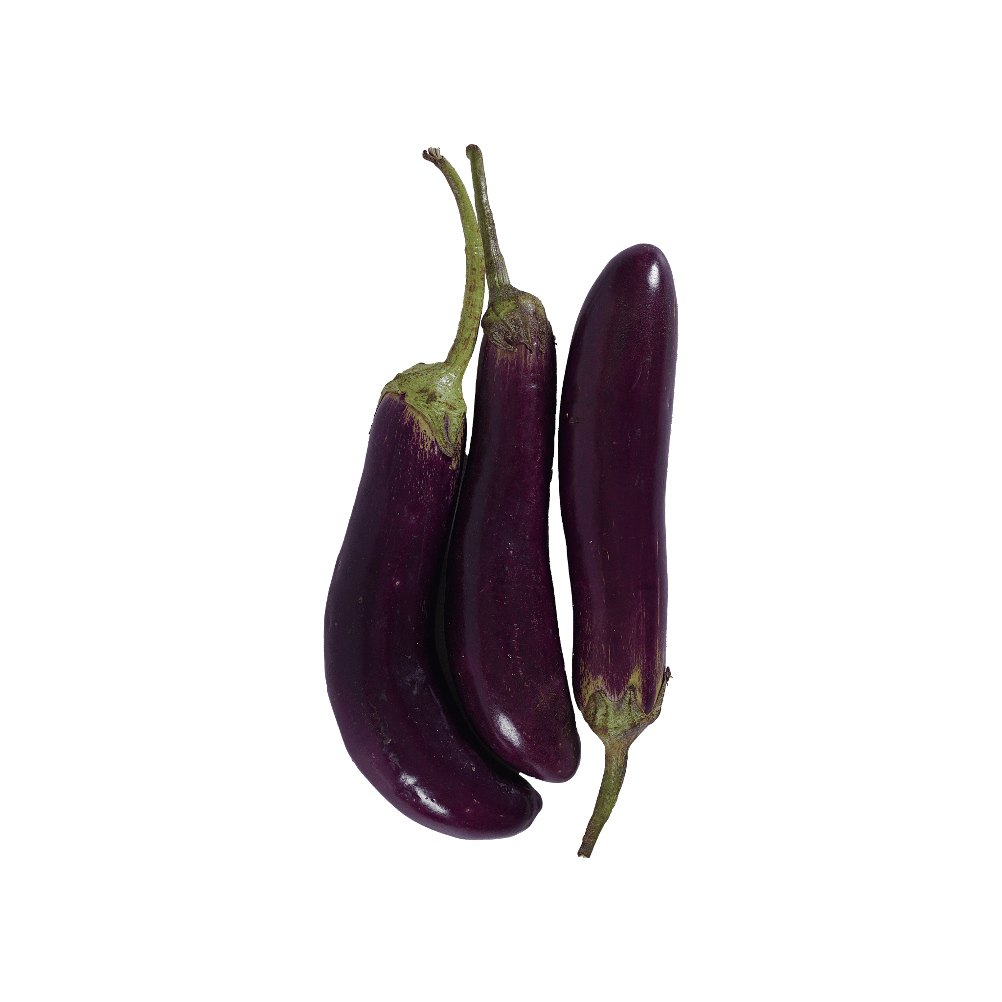 Long Crescent Eggplant (لمبا بینگن) 225+ Seeds